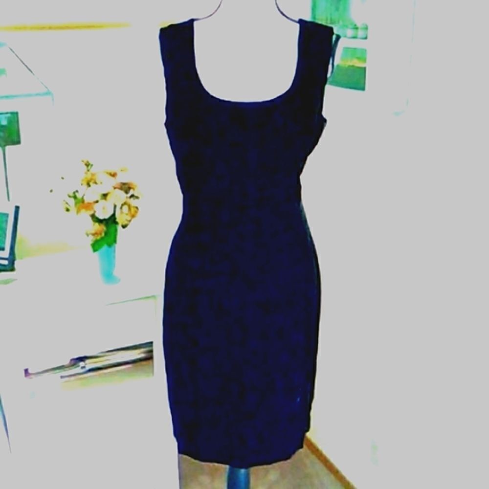 Wild Rose Pretty Velvet Dress with Soutache Back